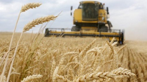 Ucrânia: Quebra prevista na produção de cereais coloca em risco alimentação mundial
