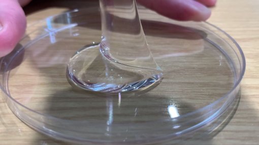Politécnico da Guarda usa técnica de impressão de órgãos para tratamento de doenças cardiovasculares