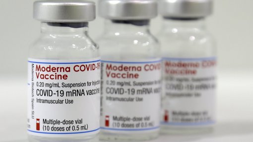 Covid-19: Infarmed recolheu lote da vacina Moderna por defeito de qualidade