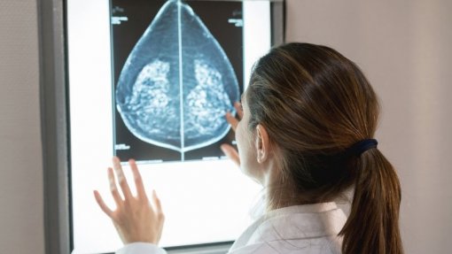 Número de mulheres que realizou mamografia aumentou este ano