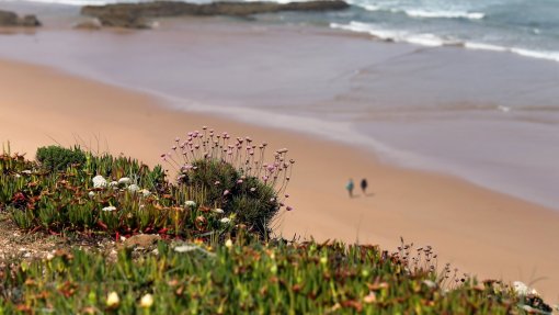 Portugal com 431 praias, marinas e embarcações galardoadas com Bandeira Azul em 2022