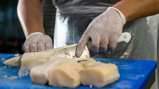 Área Metropolitana de Lisboa desenvolve projeto para alimentação sustentável e diminuição de desperdício