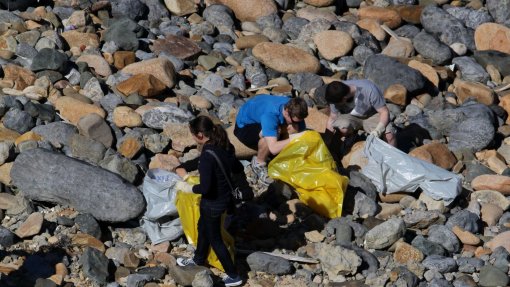 Removidas quatro toneladas de lixo de 10 areais e fundos marinhos do Algarve