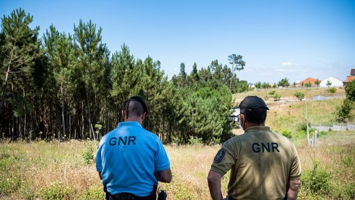 Incêndios: GNR detetou 3.364 situações por falta de limpeza de terrenos no distrito de Leiria