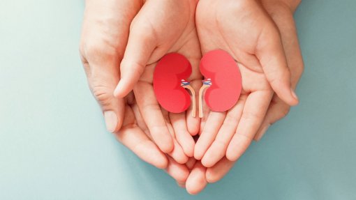 Suíça aprova em referendo que todos os cidadãos sejam potenciais doadores de órgãos