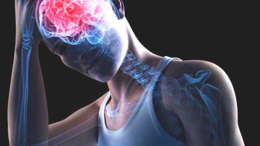 Investigadores da U.Porto identificam local nos neurónios que causa a dor neuropática