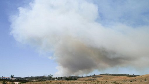 Incêndios: Trinta concelhos de seis distritos do continente em risco muito elevado