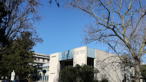 Atividade epidémica da gripe mantém tendência decrescente em Portugal - INSA