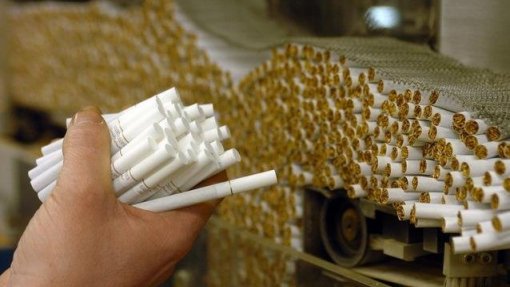 Indústria do tabaco tem um impacto “desastroso” no meio ambiente - OMS