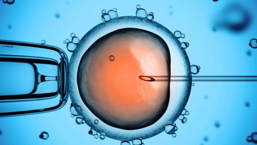 Conselho Nacional pede ao parlamento clarificação da lei sobre inseminação pós-morte