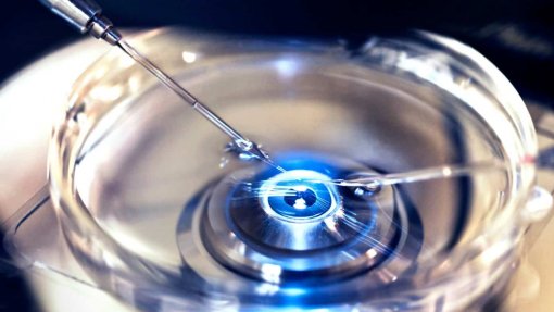 Portugal em 5.º lugar no ranking europeu de políticas de tratamento de fertilidade