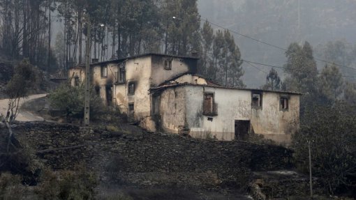 Pedrógão Grande//5 anos: Vítimas dos fogos ainda necessitam de apoios de saúde mental