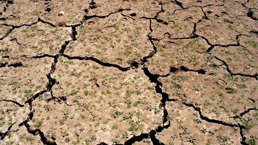 Distritos a Norte em seca severa/extrema e sem &quot;notícias animadoras&quot; - IPMA