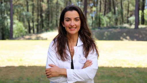 Terapia contra cancro agressivo vence Prémio Bluepharma/Universidade de Coimbra