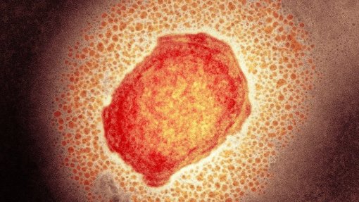 Monkeypox: DGS confirma mais 11 casos, total sobre para 328 pessoas infetadas