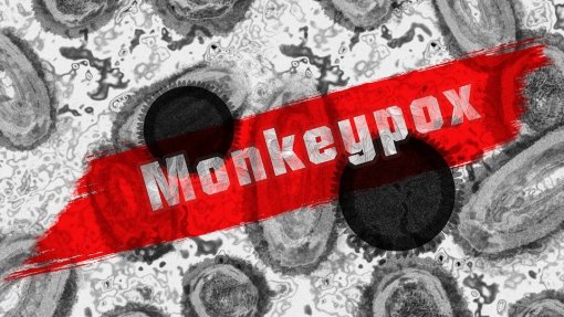 Monkeypox: Espanha recebe primeiras doses de vacinas, Portugal segue-se em breve - Comissão