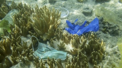Oceanos: Conferência reuniu investimentos de 10 mil ME na proteção do mar - MNE