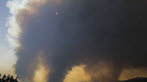 Incêndios: Quase todo o território do continente em perigo máximo e muito elevado