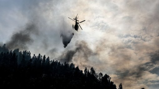 Incêndios: Fogo que começou em Ourém reacende-se em Alvaiázere e há casas perto das chamas