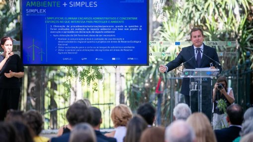 ZERO considera &quot;escandalosa&quot; proposta de &#039;simplex&#039; ambiental