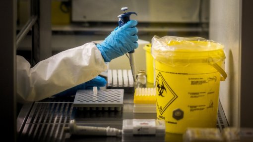 Portugal com 710 casos confirmados de infeção pelo vírus Monkeypox em três meses