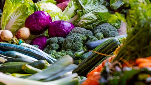 Refeições à base de plantas são melhores para o planeta do que carne ou queijo – estudo