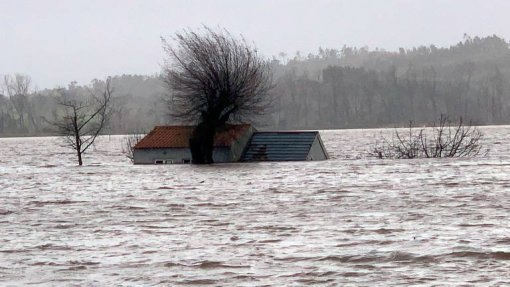 Riscos associados às alterações climáticas agravaram doenças infeciosas nos humanos