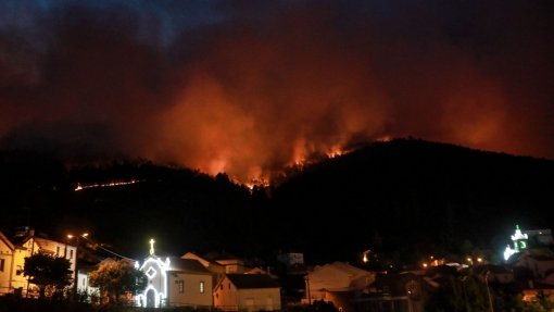 Quercus quer avaliação independente do fogo na Serra da Estrela