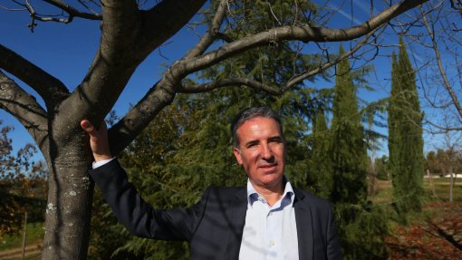 Secretário de Estado fala em “prejuízo enorme” a nível ambiental na serra da Estrela