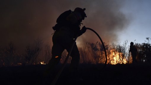 Incêndios: Investigação da Comissão para a Gestão de Fogos Rurais deve ter resultados em outubro