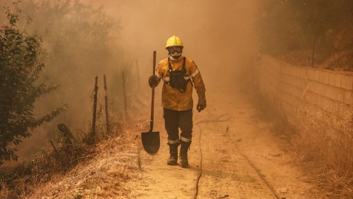 Mais de 60 concelhos de sete distritos em perigo máximo de incêndio