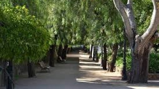 Jardim Público de Beja fecha temporariamente devido foco de gripe aviária