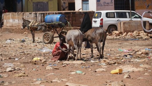 Somália encontra-se no limiar da fome e ONU lança &quot;aviso final&quot; antes da catástrofe