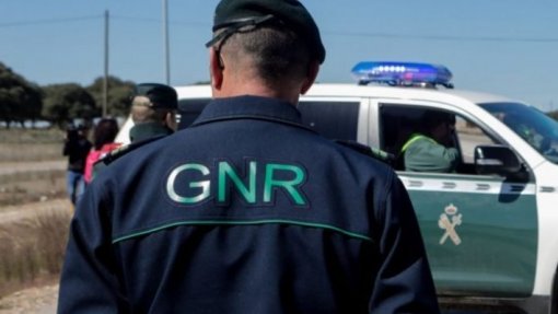 GNR apreende mais de 2.000 medicamentos em drogarias e lojas de animais no Porto
