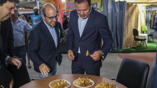 Governo: Líder do PSD diz que novo ministro da Saúde está condenado ao fracasso