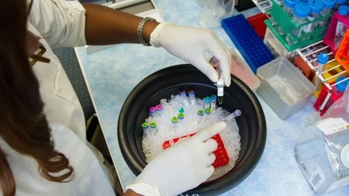 Covid-19: Investigadores do Porto vão monitorizar em doentes a eficácia de novos fármacos