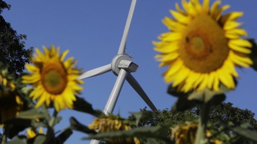 Parlamento Europeu quer elevar para 45% o consumo de energias renováveis em 2030