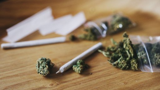 Presidente timorense quer política de droga que distinga narcóticos e canábis