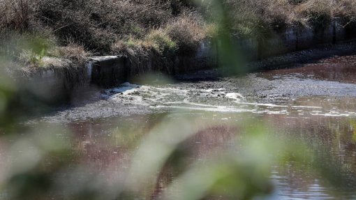 Comissão de Defesa da Ribeira dos Milagres denuncia descarga de efluentes em Leiria