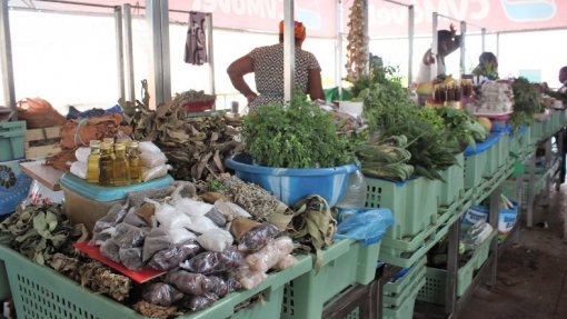 Cabo Verde prepara legislação para regulamentar medicina tradicional