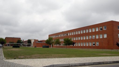 Tecnologia de modelação de tumores pancreáticos alvo de patente internacional