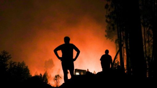 Agricultores afetados por grandes incêndios podem candidatar-se a apoios até 30 ME