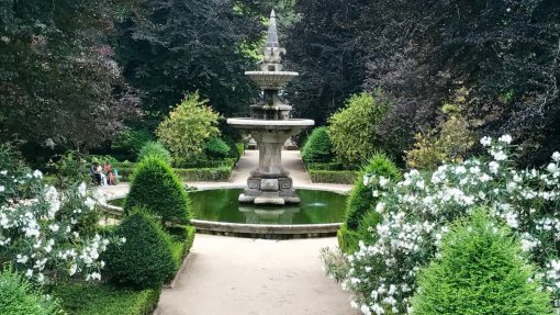 COIMBRA: Jardim Botânico convida jovens universitários a adotarem uma planta