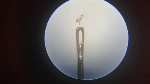 Termas de Monfortinho expõe micro esculturas apenas visíveis ao microscópio