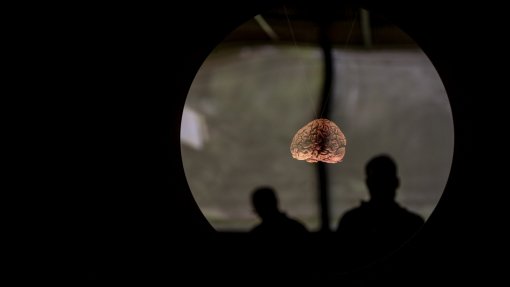 Centro Hospitalar e Universitário de Coimbra com tratamento cerebral pioneiro