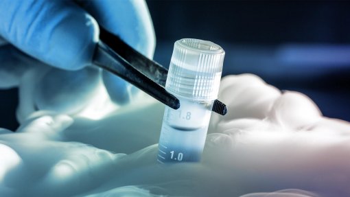 Investigadores do Porto estudam criopreservação de espermatozoides humanos
