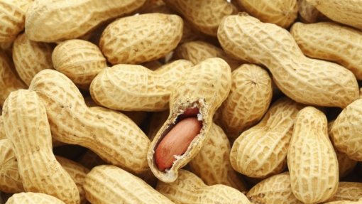 Desenvolvidos biossensores que detetam substâncias alérgicas em alimentos
