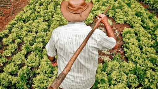 Agricultores podem aceder ao PEPAC a partir do dia 01 de janeiro