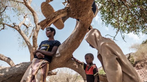 Etiópia: Casos de malária disparam em 80% no Tigray - OMS