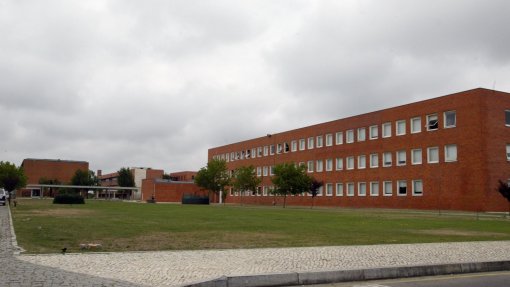 Universidade de Aveiro desenvolve marcadores usados em células vivas